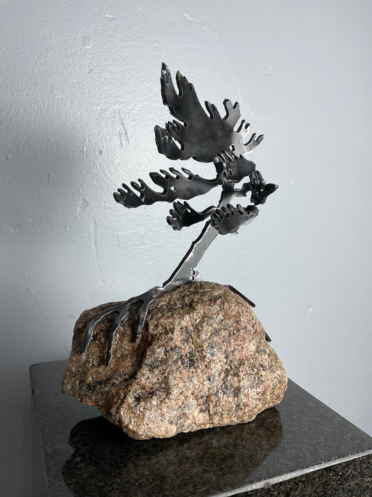 Cathy Mark windswept pine on granite
