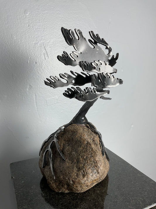 Cathy Mark windswept pine on granite