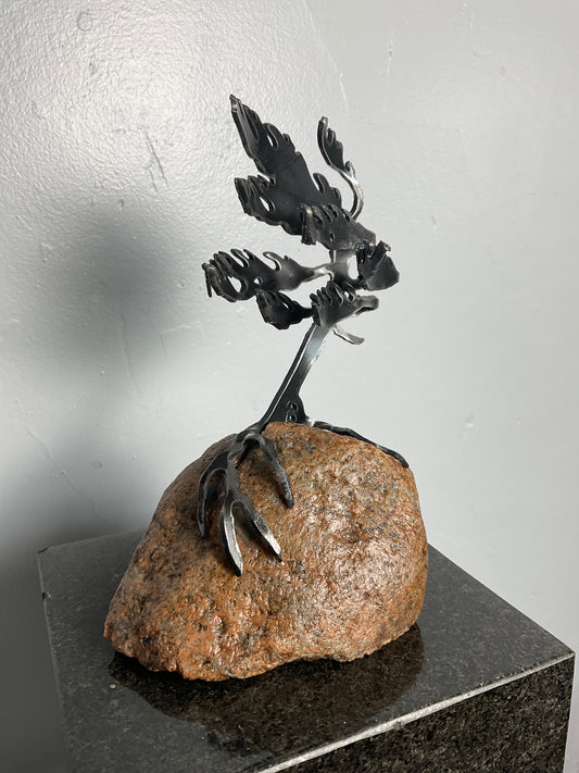 Cathy Mark windswept pine on granite