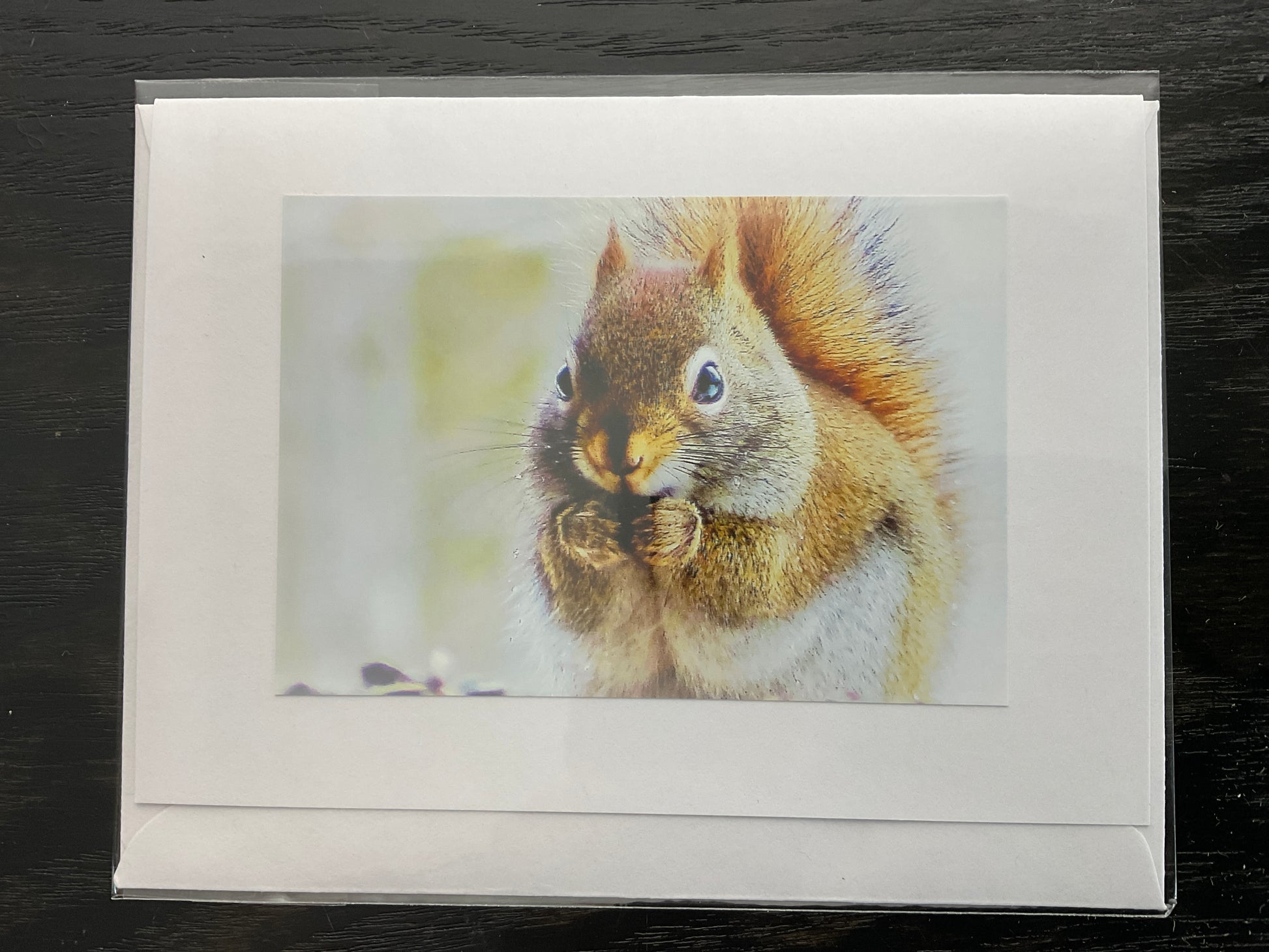 Patti Parker Photography Note Cards