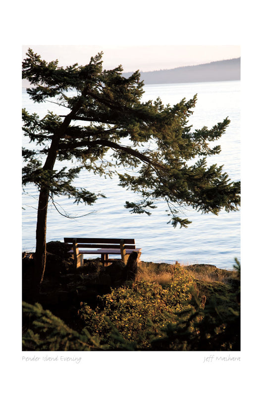 Pender Island Evening Art Card - Jeff Maihara