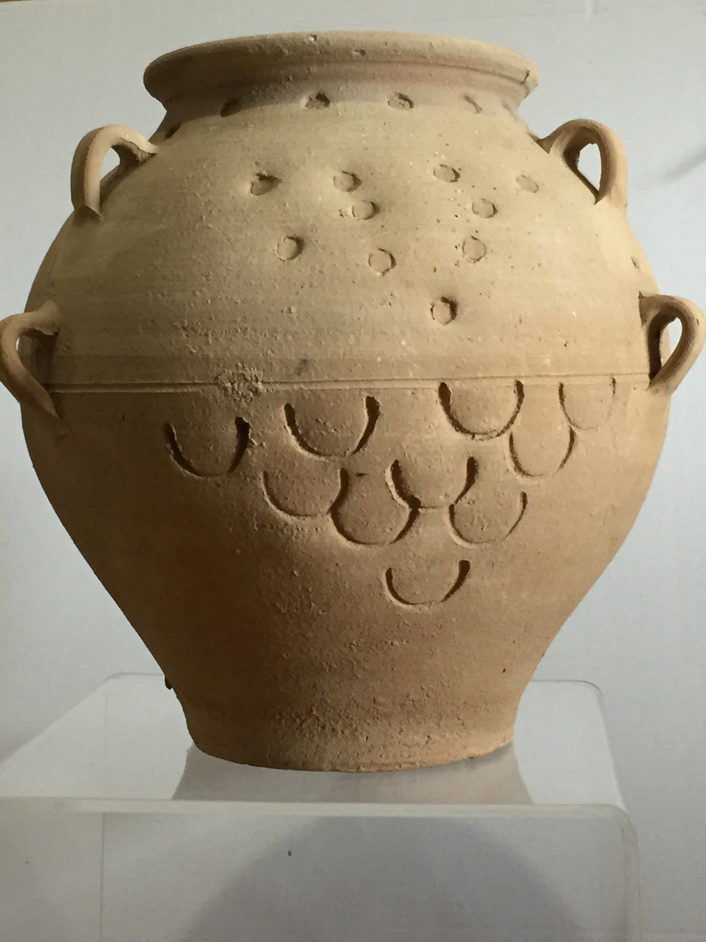 Fish Pot