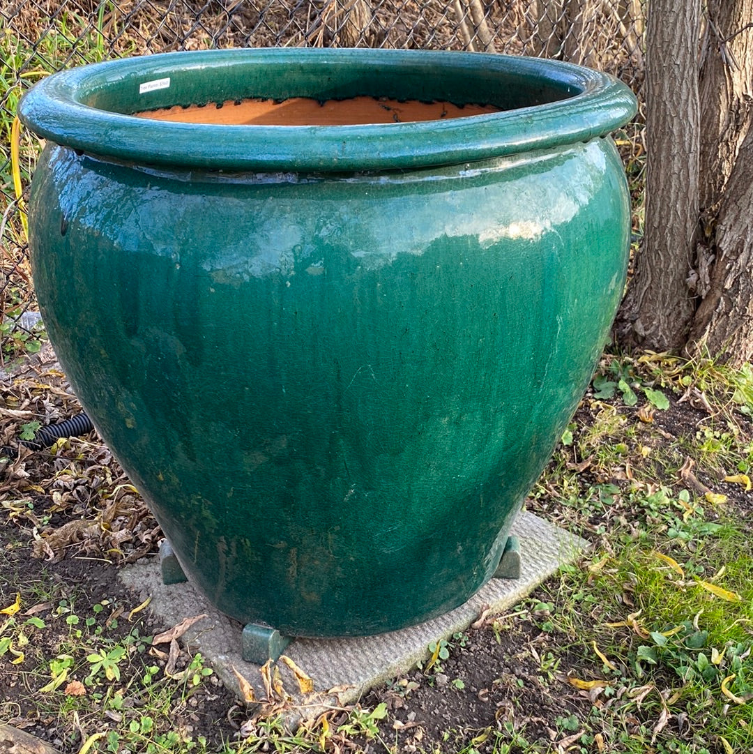 Tree Planter Large