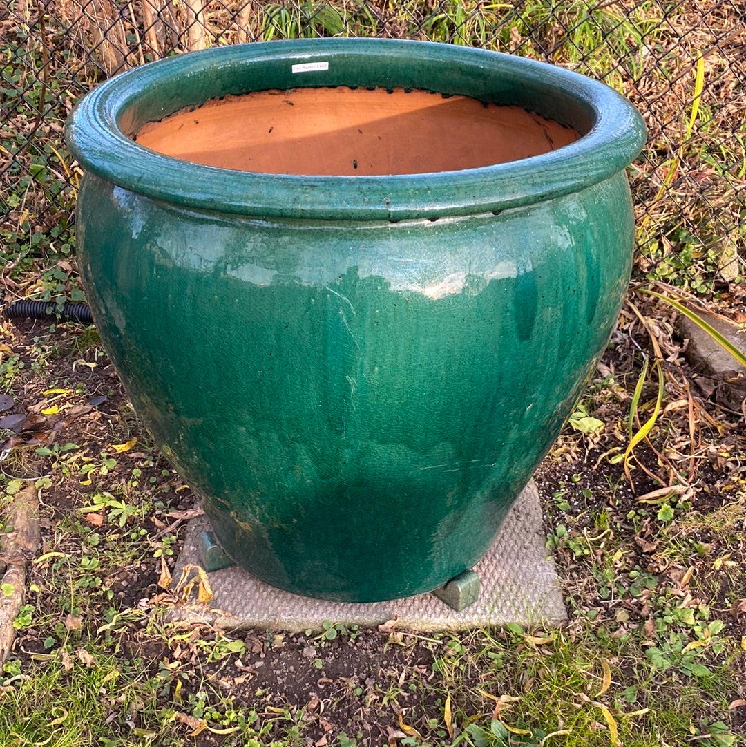 large ceramic plant pots for trees Tree Planter Large