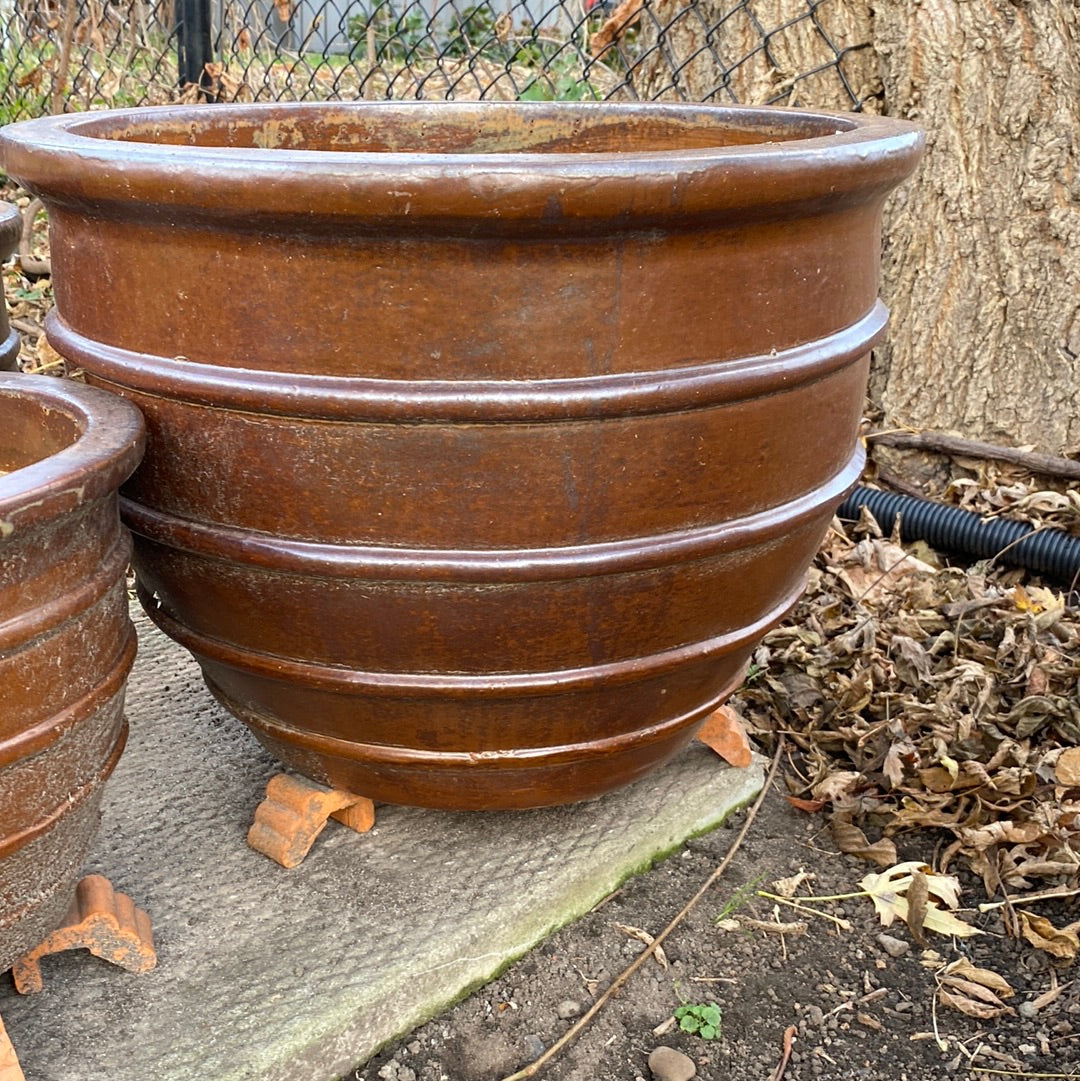 Ring Planter