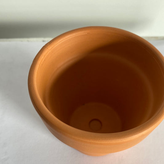 Standard Planter- Portugal