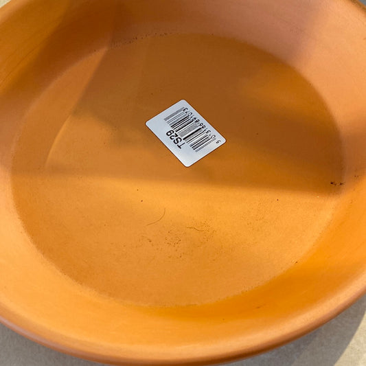 Standard Saucer- Portugal
