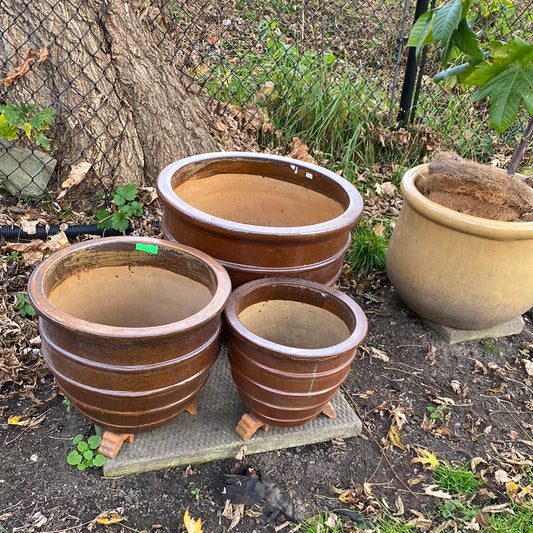 Ring Planter