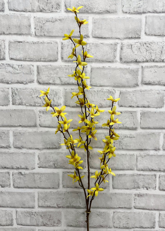 Forsythia Spray