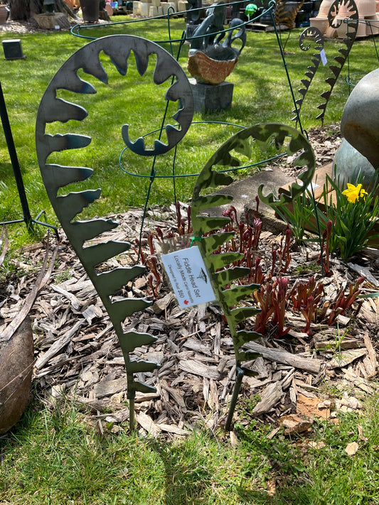 Metal Fiddlehead
