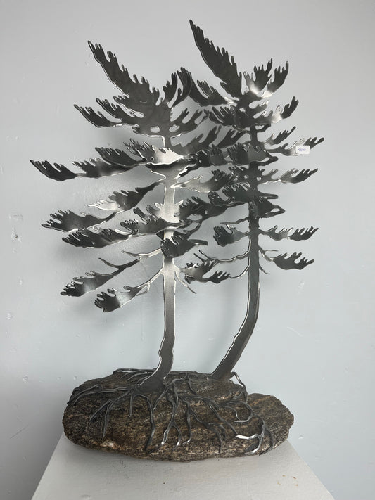 Cathy mark windswept trees on stone