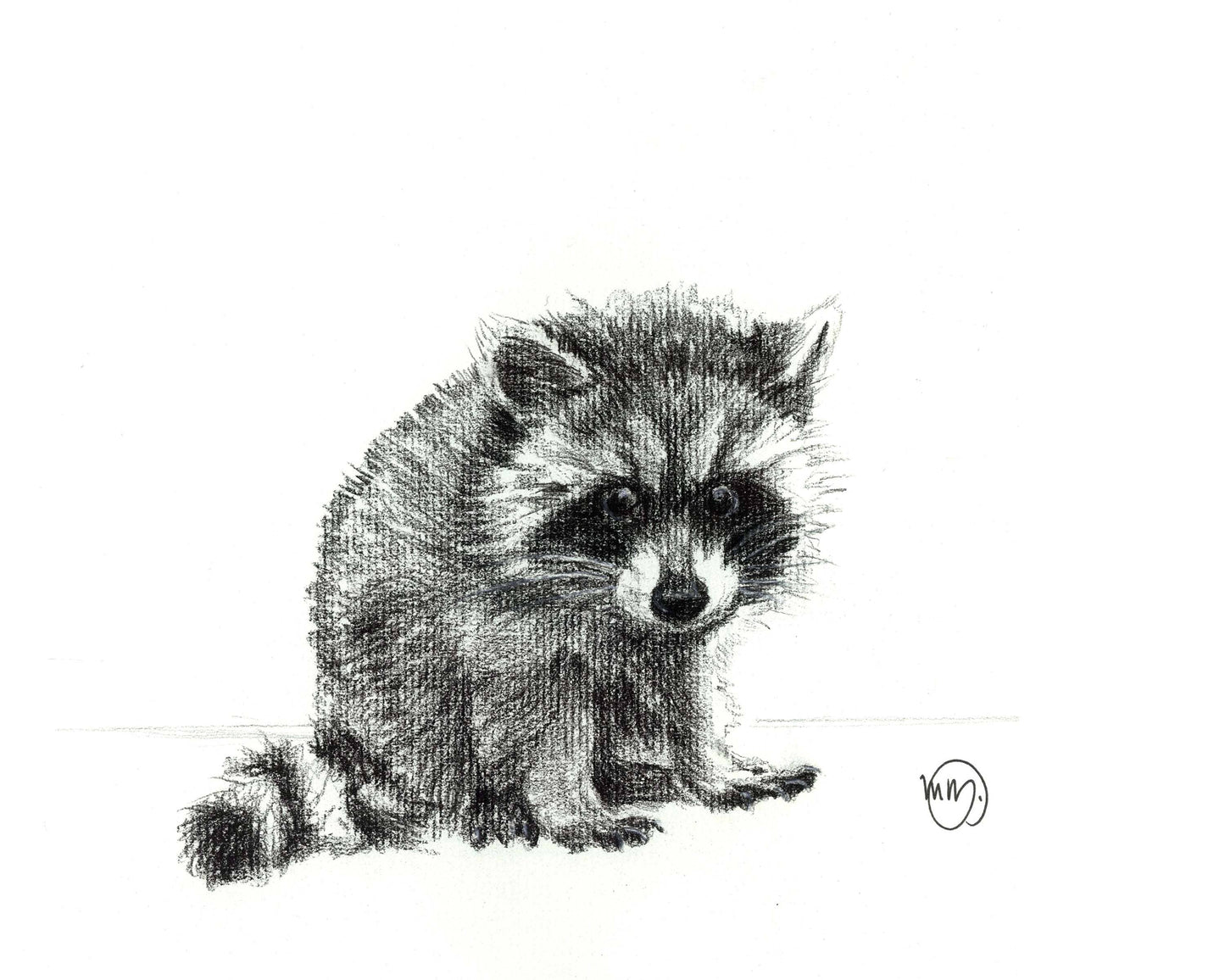 Baby Raccoon Greeting Card