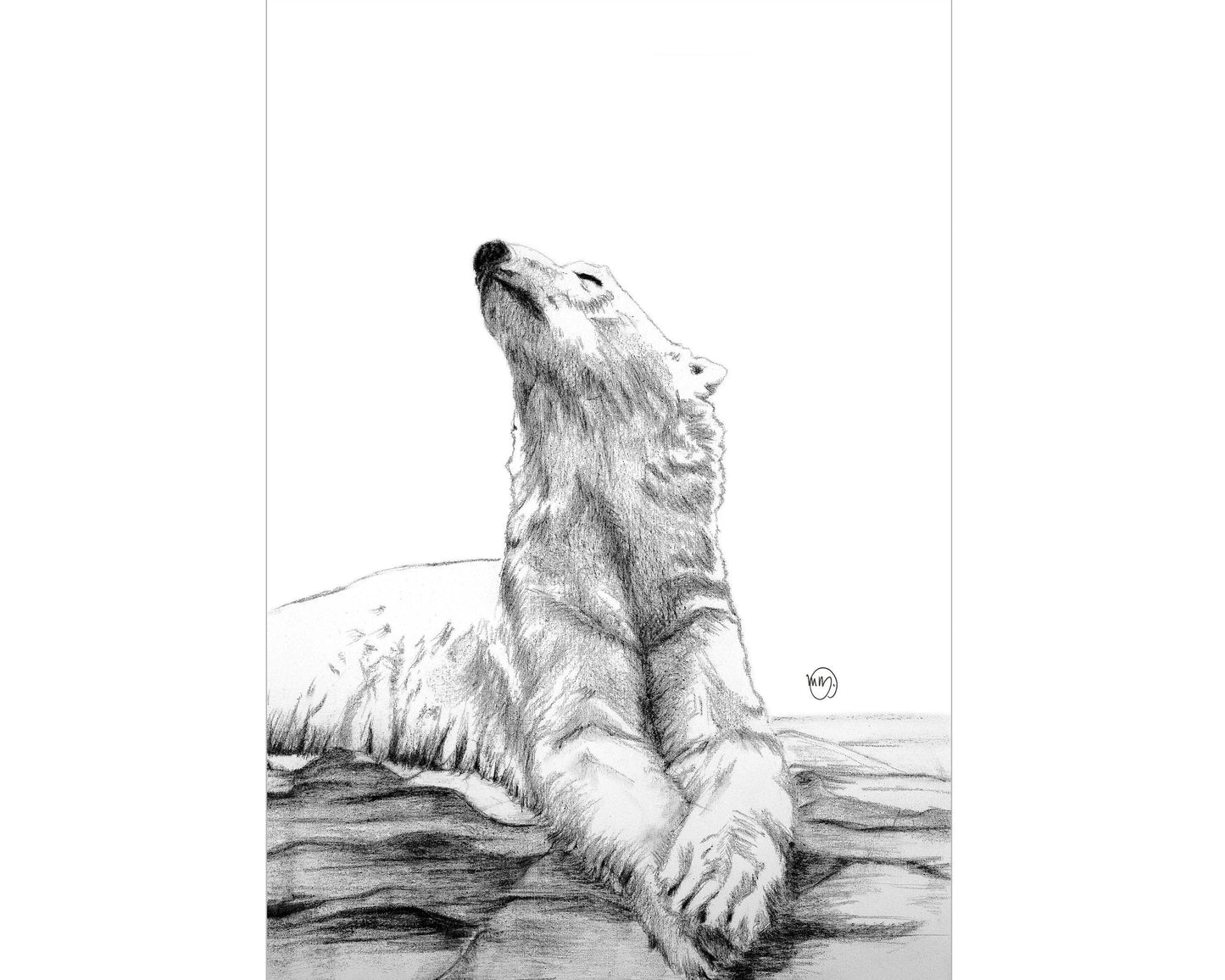 Majestic Polar Bear Taking A Sunbath Print