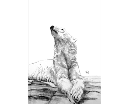 Majestic Polar Bear Taking A Sunbath Print