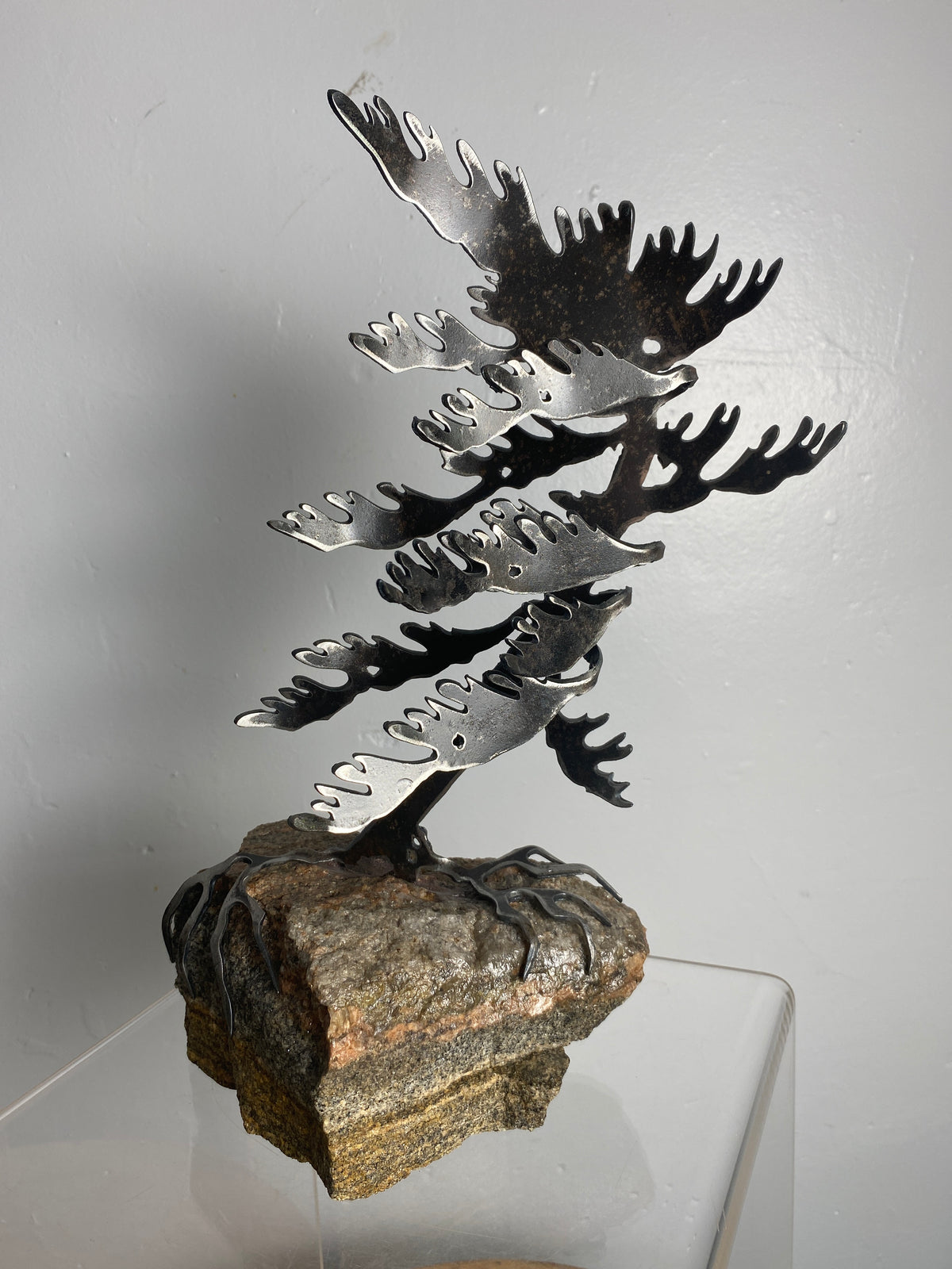 Windswept Pine Steel Sculpture on Granite by Canadian Artist Cathy Mark #28