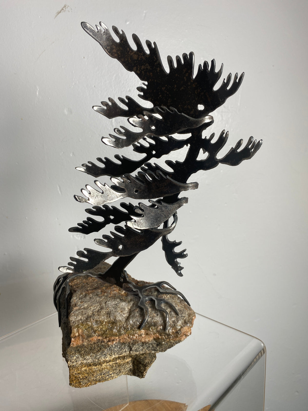 Windswept Pine Steel Sculpture on Granite by Canadian Artist Cathy Mark #28