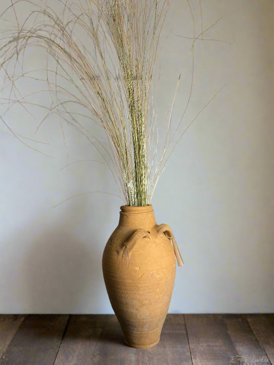 Beach Grass - Dried Floral