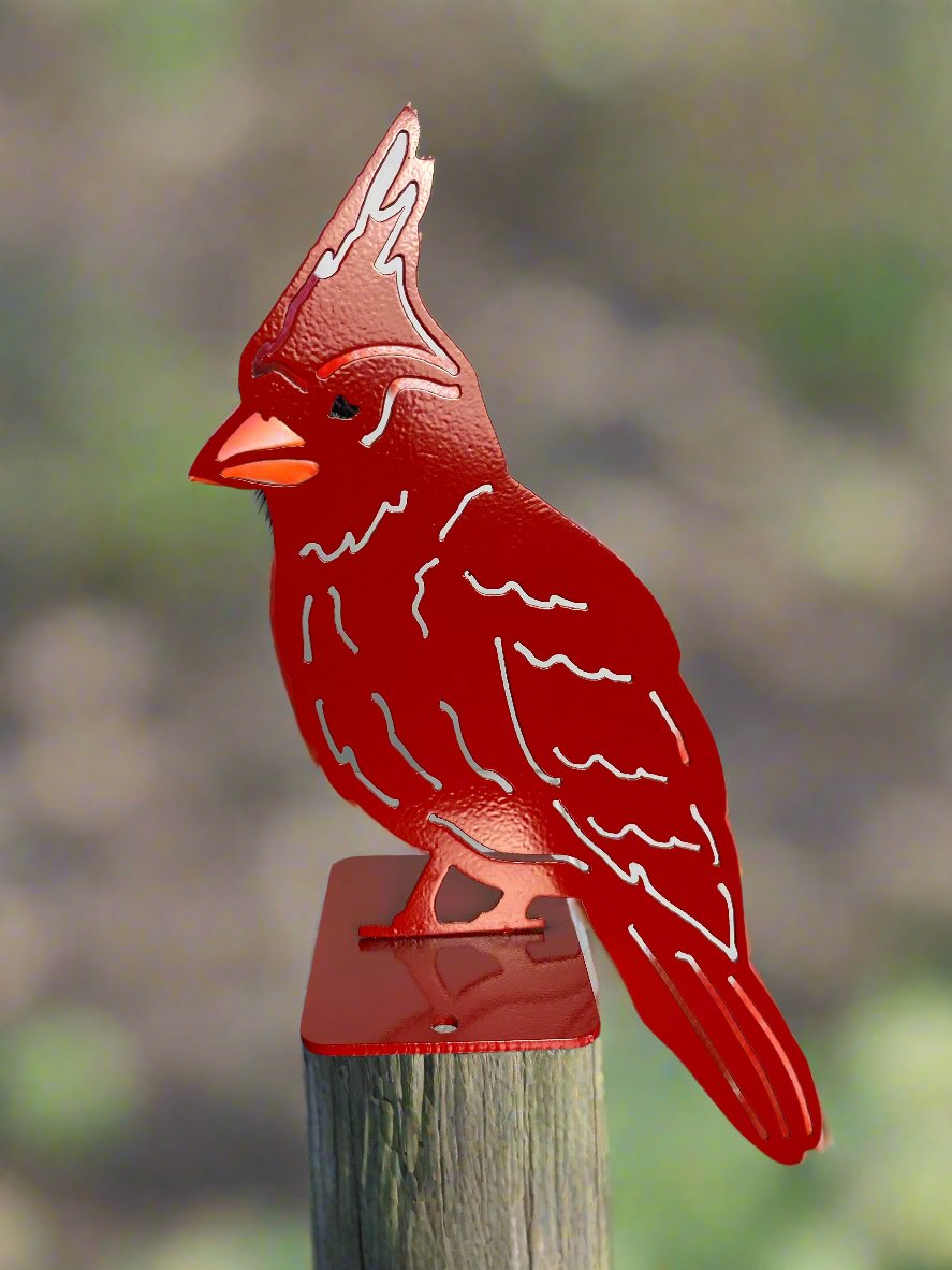 Cardinal on Base - Red