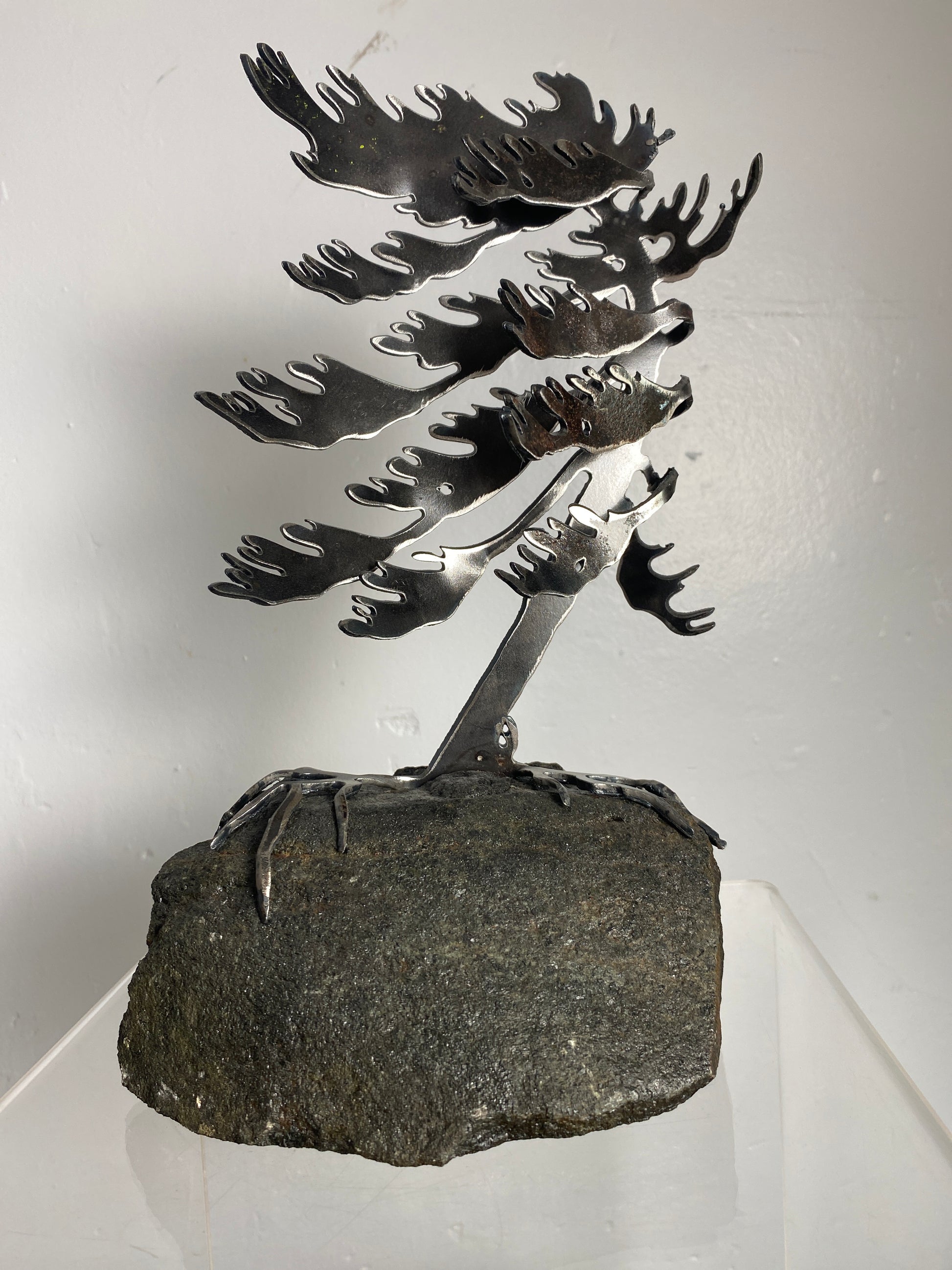 Windswept Pine Steel Sculpture on Granite by Canadian Artist Cathy Mark #42