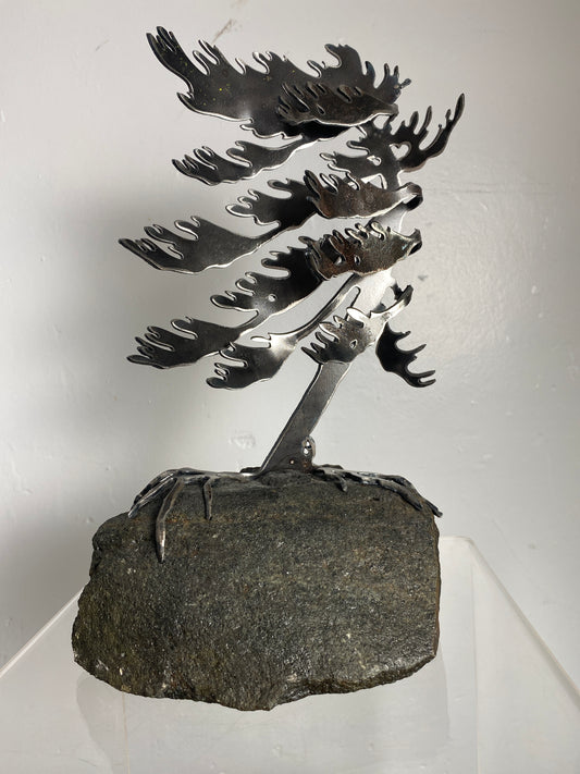 Windswept Pine Steel Sculpture on Granite by Canadian Artist Cathy Mark #42