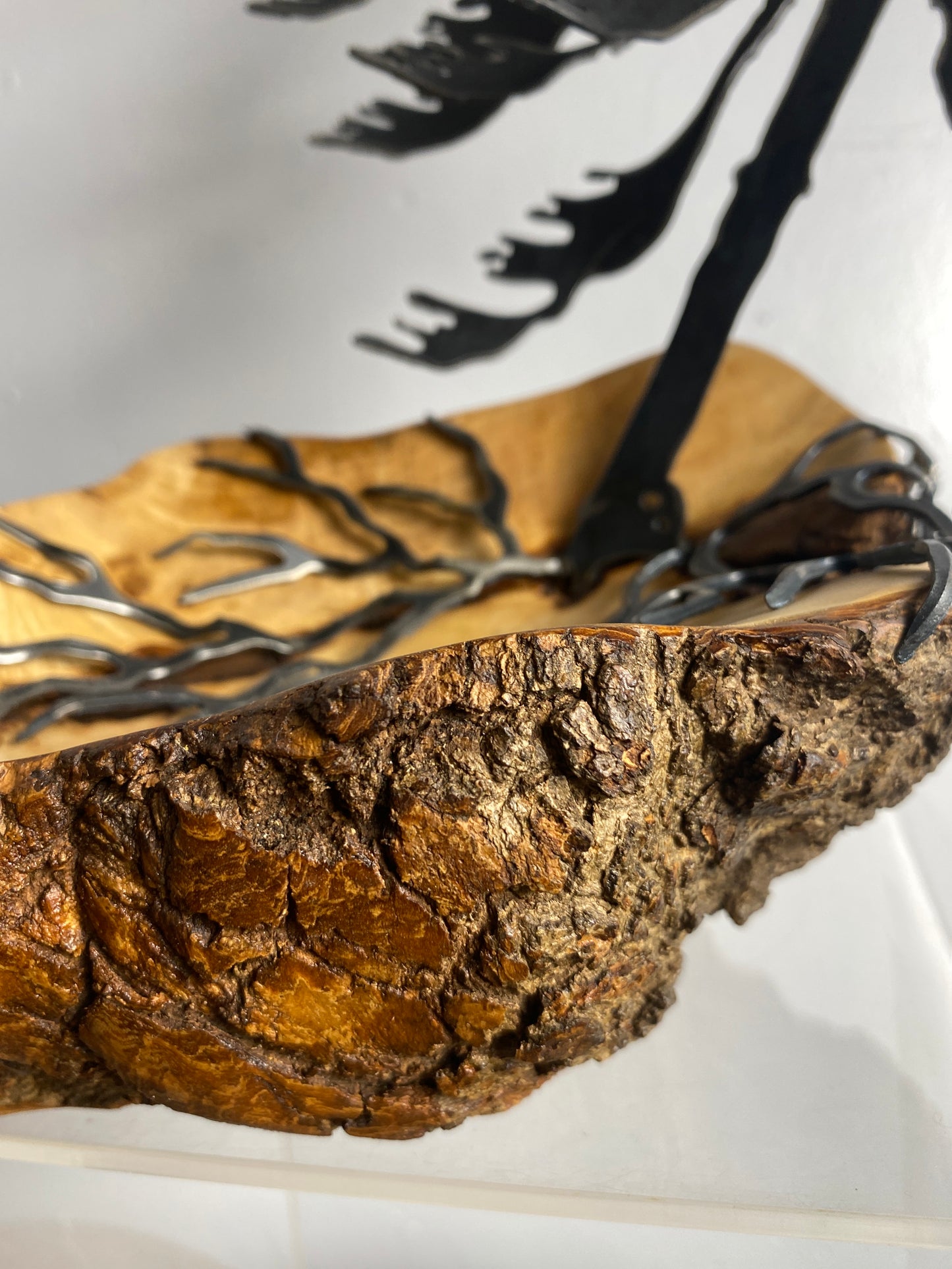 Windswept Pine Steel Sculpture on Maple Burl by Canadian Artist Cathy Mark #4 close up of Burl