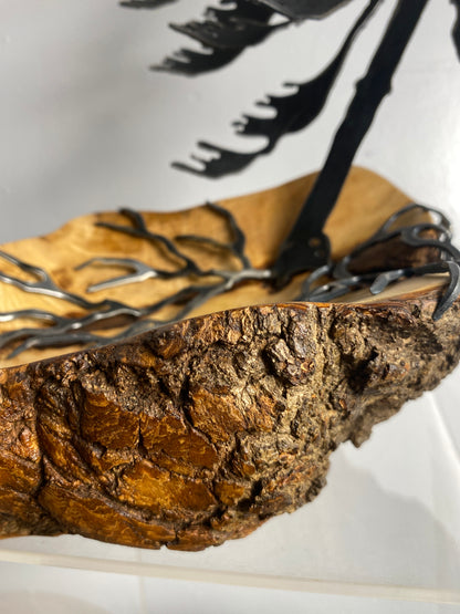 Windswept Pine Steel Sculpture on Maple Burl by Canadian Artist Cathy Mark #4 close up of Burl