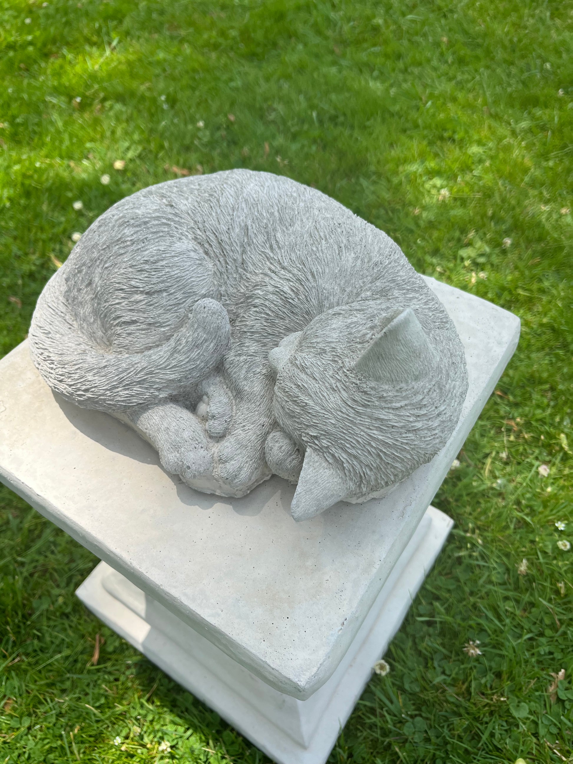 Concrete Cat Laying Hamiltons of Pelham Concrete Cat Laying Hamiltons of Pelham