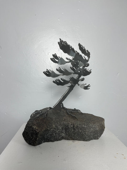 Cathy mark windswept metal tree on stone