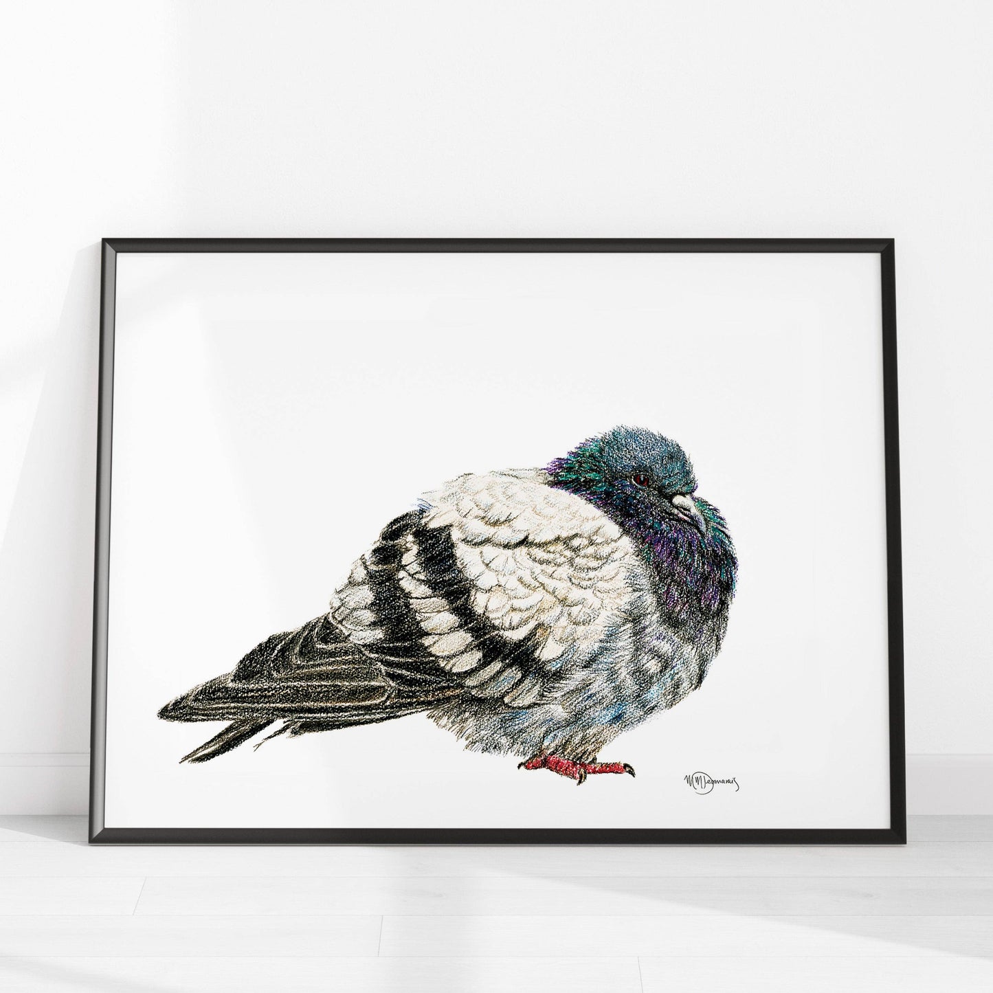 Pigeon - Pigeon Illustration Print