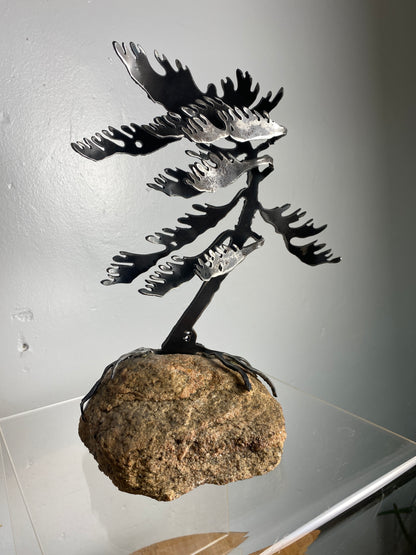 Windswept Pine Steel Sculpture on Granite by Canadian Artist Cathy Mark #47