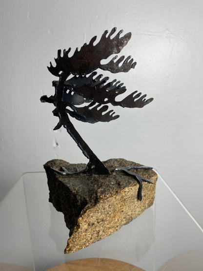 Windswept Pine Steel Sculpture on Granite by Canadian Artist Cathy Mark #41