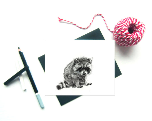 Baby Raccoon Greeting Card