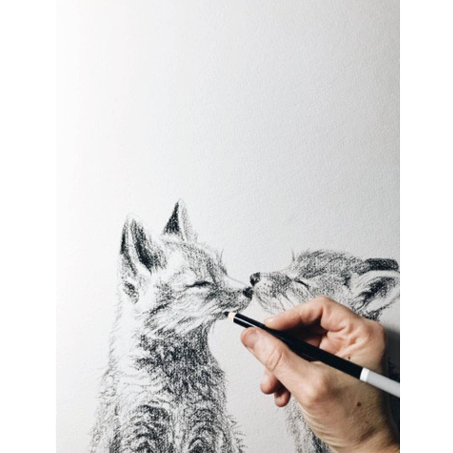 Adorable Baby Foxes Print