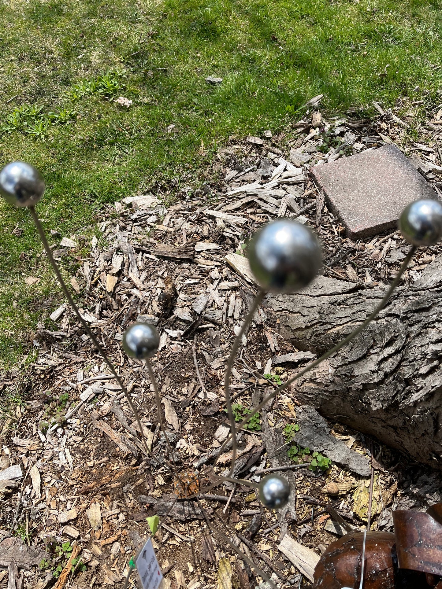 Metal seed balls