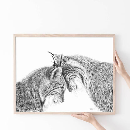 Lynx in love illustration - "Social Animal" Collection