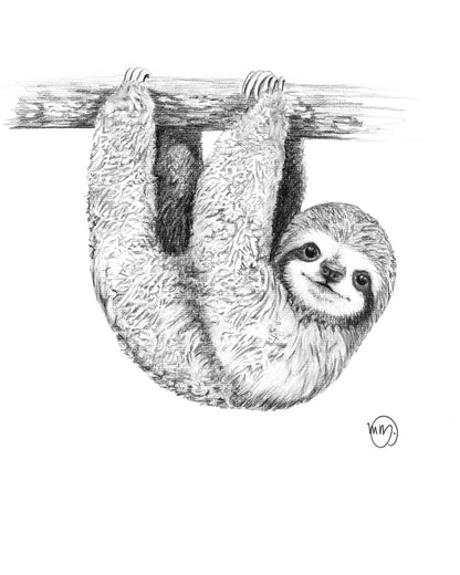 Cute Baby Sloth Print