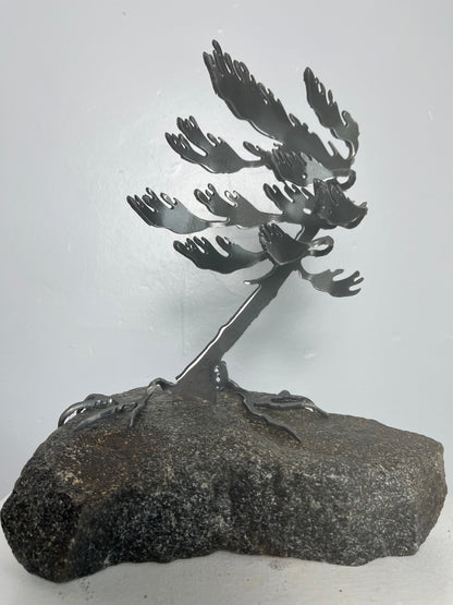 Cathy mark windswept metal tree on stone
