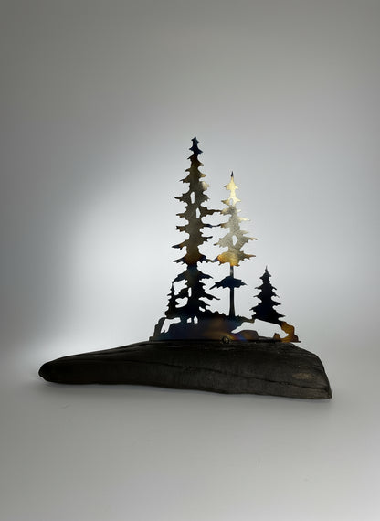 Metal Trees On Driftwood