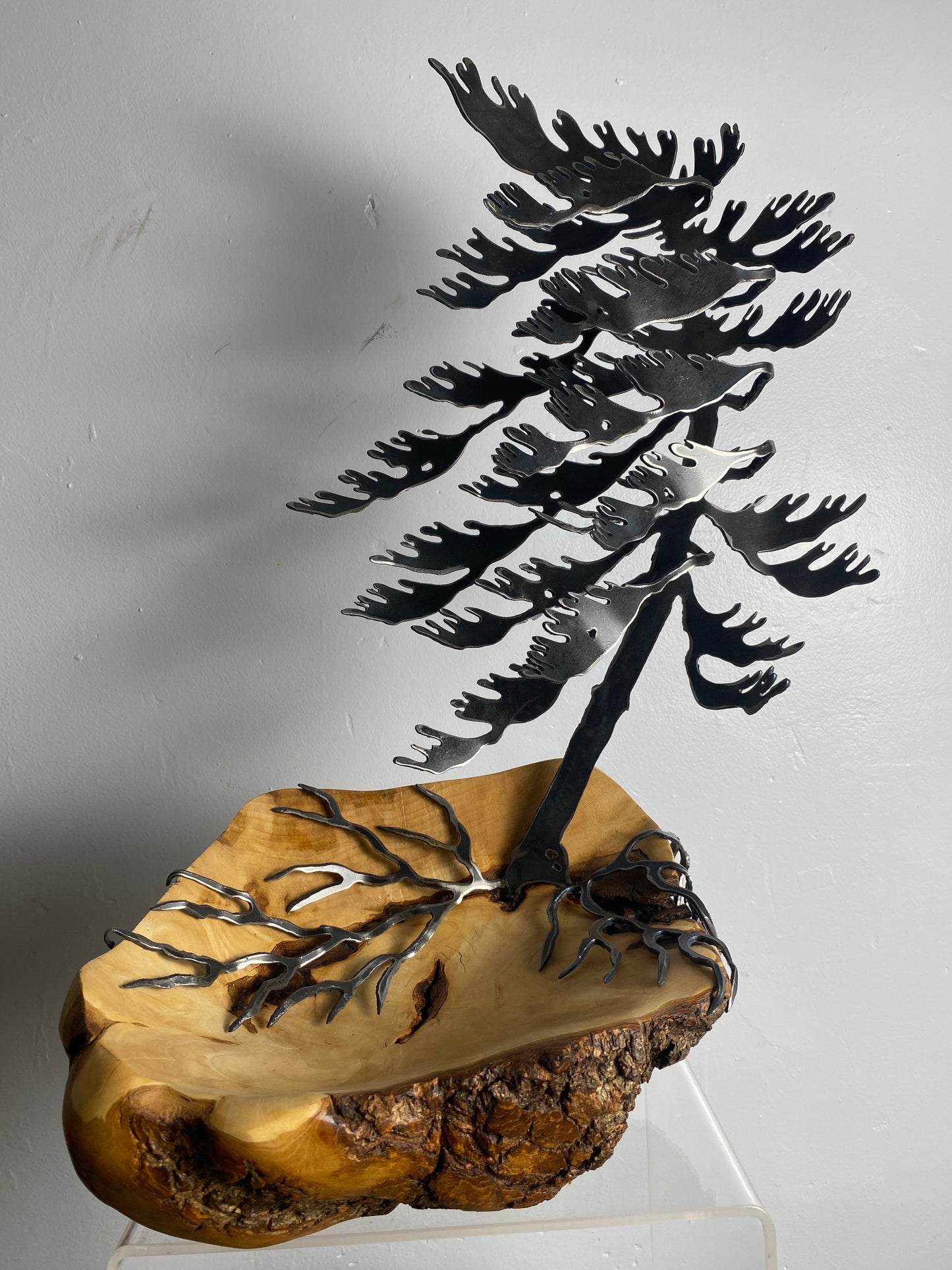 Windswept Pine Steel Sculpture on Maple Burl by Canadian Artist Cathy Mark #4