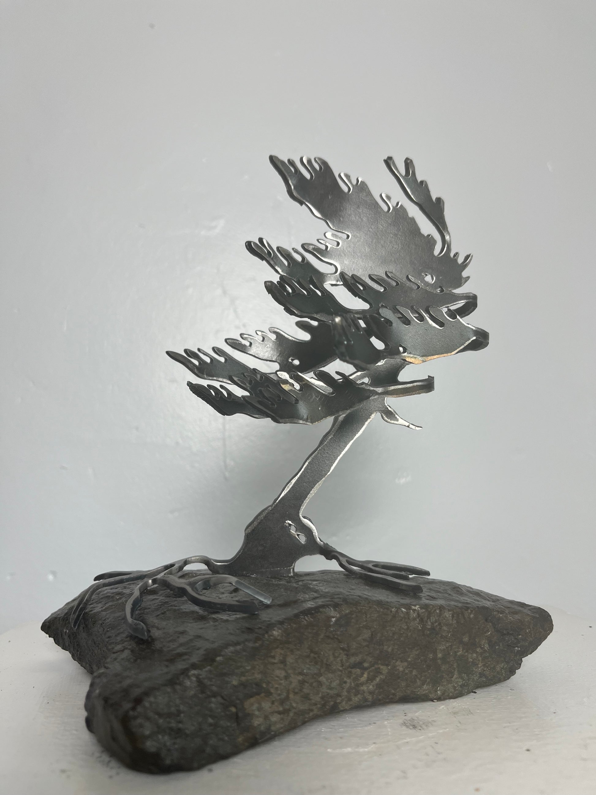 Cathy mark windswept metal tree on stone
