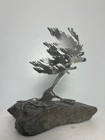 Cathy mark windswept metal tree on stone