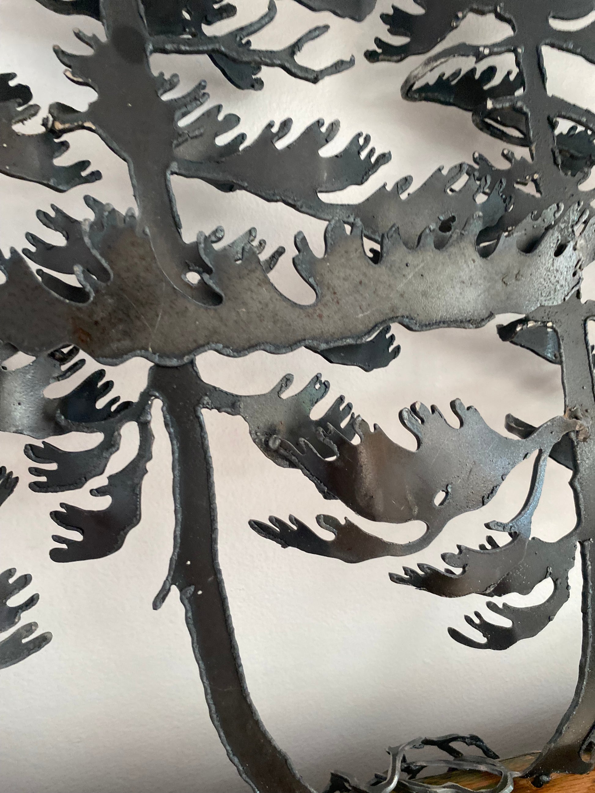 Windswept Trees on Oak Wall Art - By Cathy Mark