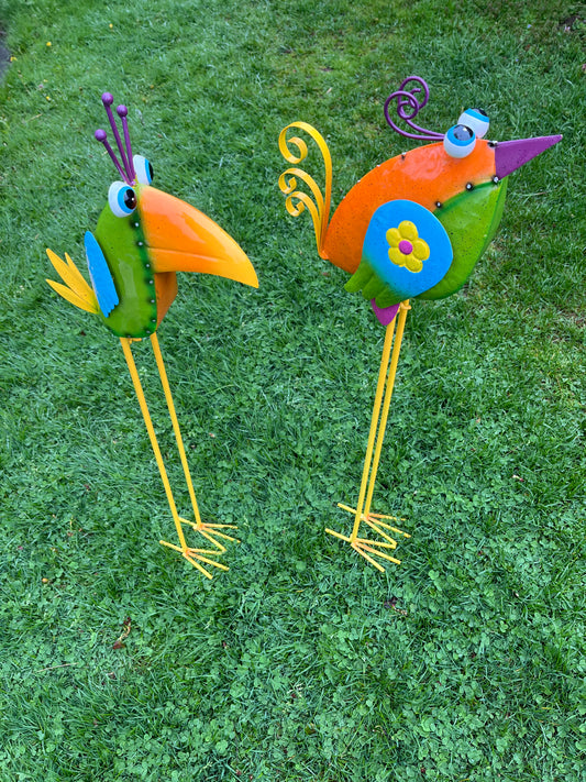 Goofy Birds