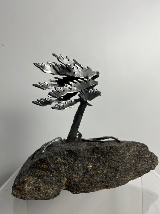 Metal windswept tree on granite