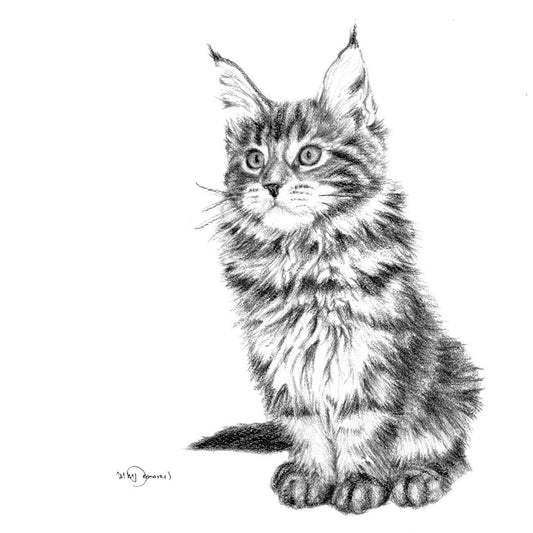 Adorable Cat Print