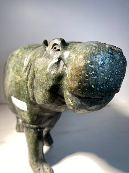 Hippo -Artist Unknown