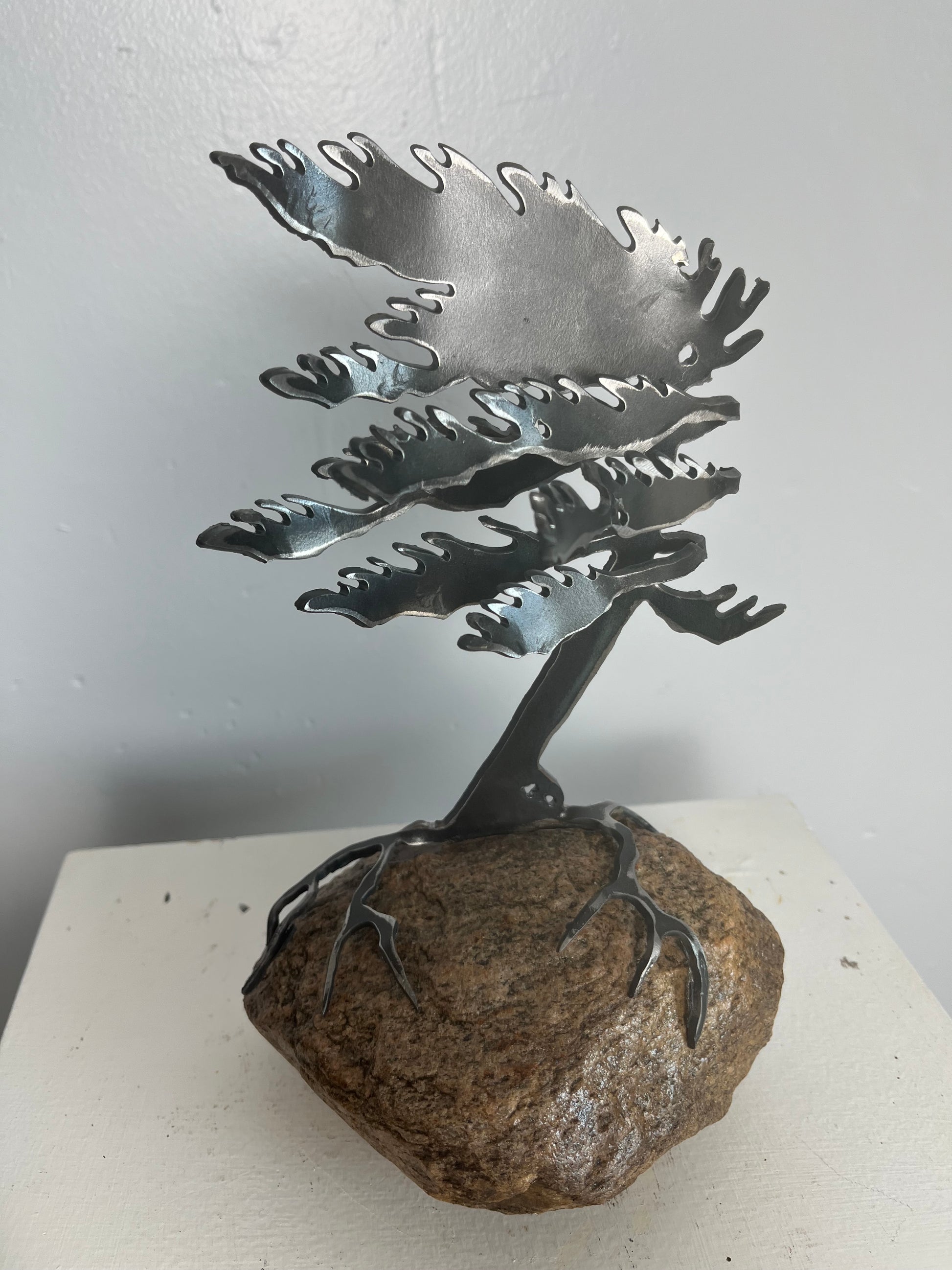 Cathy mark windswept tree on stone 