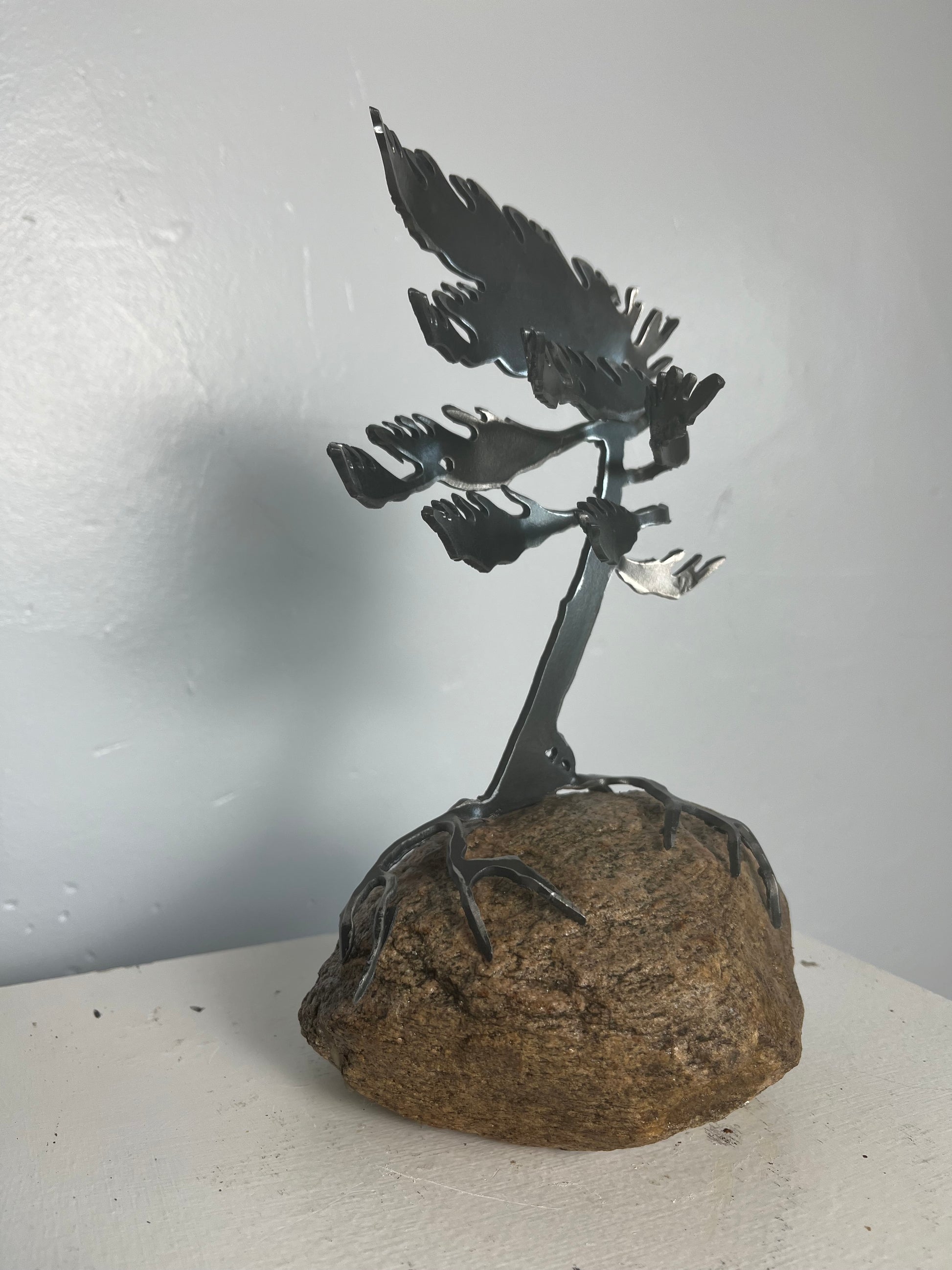 Cathy mark windswept tree on stone 