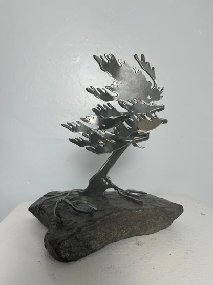 Cathy mark windswept metal tree on stone