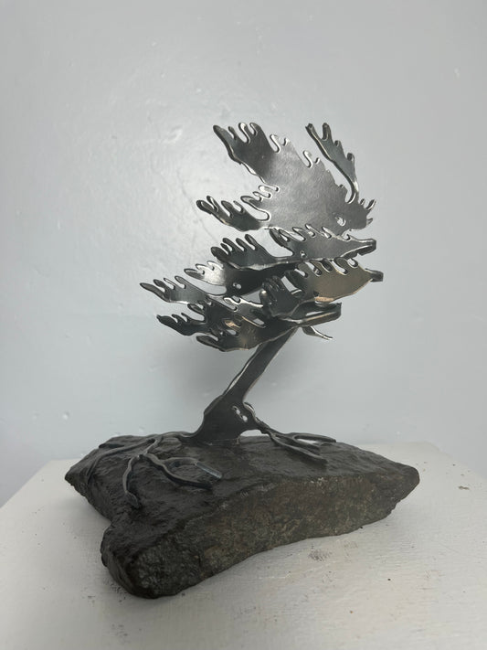 Cathy mark windswept metal tree on stone